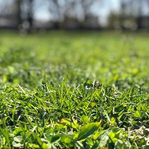 Meet your Posher, Mina